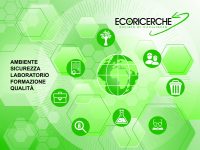 Circolare 11/2022